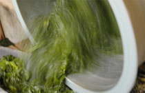 ���Ђ��ʐ^2