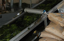 ���Ђ��ʐ^1